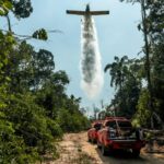 Rondônia alcança menor taxa de desmatamento na Amazônia